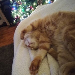 Meet your Posher, Sonja